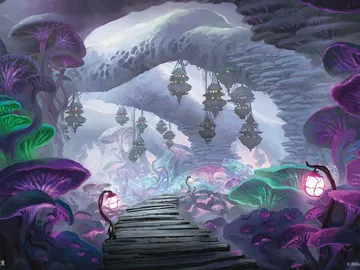Swamp 3