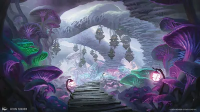 Swamp 3
