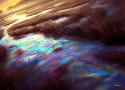 Vivid Marsh