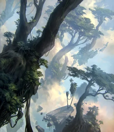 Forest 1