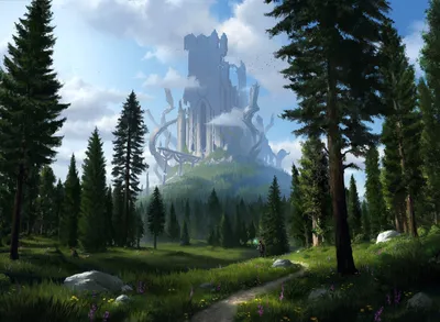 Forest