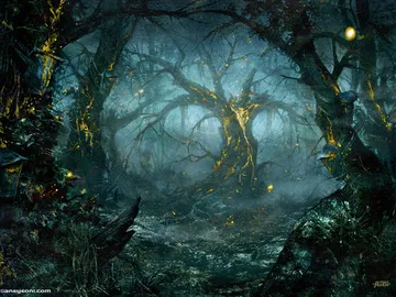 Sapseep Forest