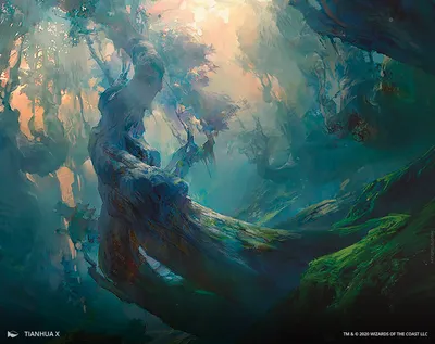 Forest 3