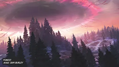 Forest 1