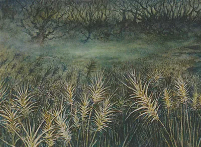 Plains 1
