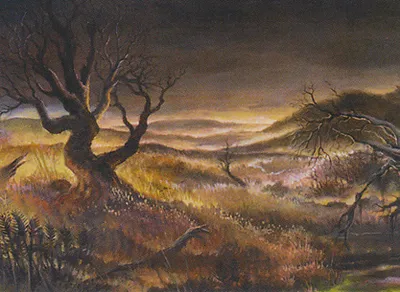 Plains 2