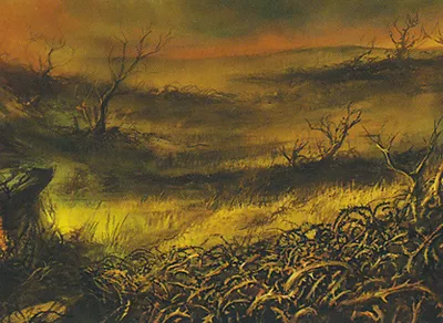 Plains 3