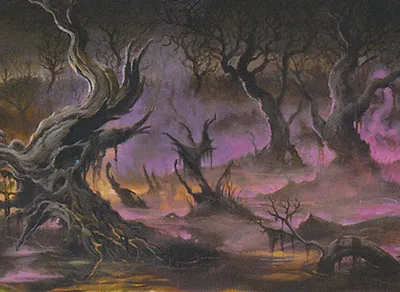 Swamp 1