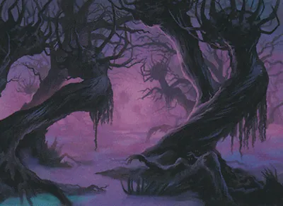 Swamp 2