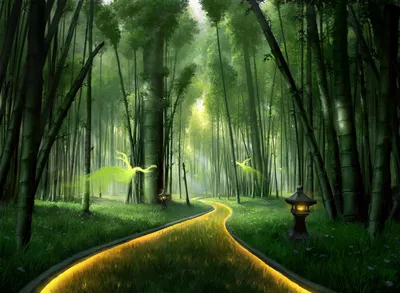 Forest 1