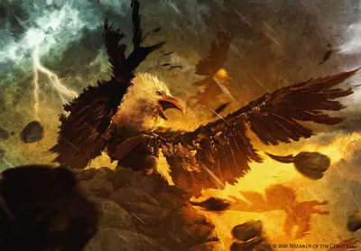 Fearless Fledgling 2