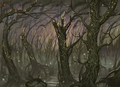 Swamp 3