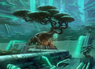Forest 2