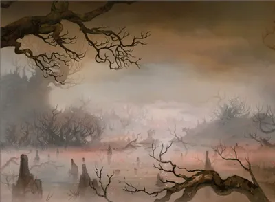 Swamp 4
