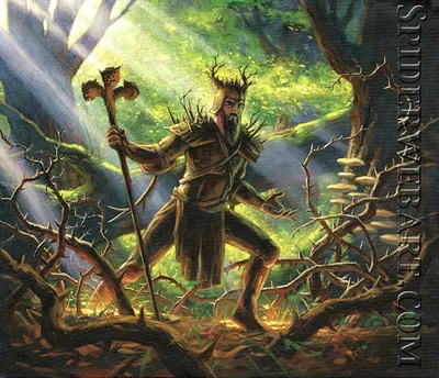 Questing Druid 2