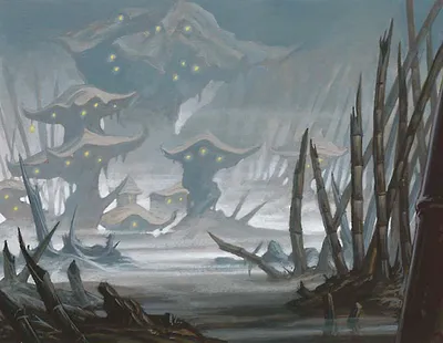 Swamp 1