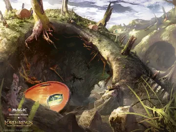 Ash Barrens