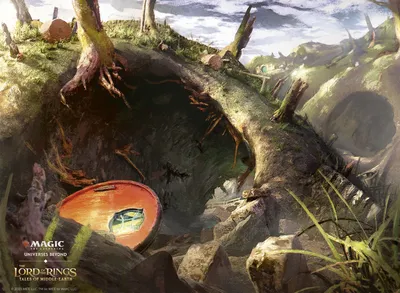Ash Barrens