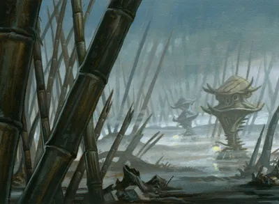 Swamp 2