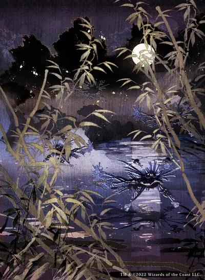 Swamp 3