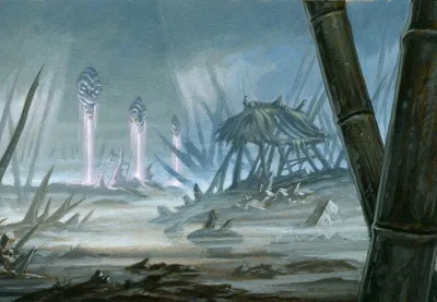 Swamp 3