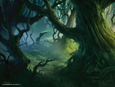 Forest 3