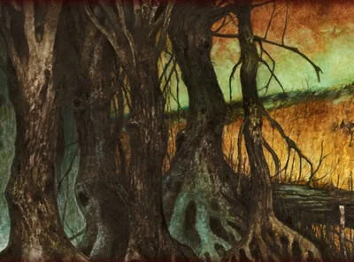 Forest 1