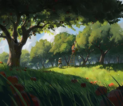 Canopy Vista