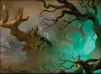 Forest 3