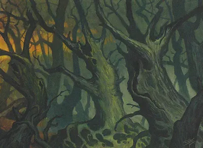 Forest 4