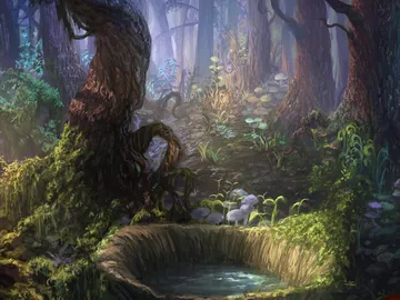 Forest 1