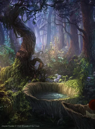 Forest 1