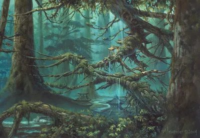 Forest 4