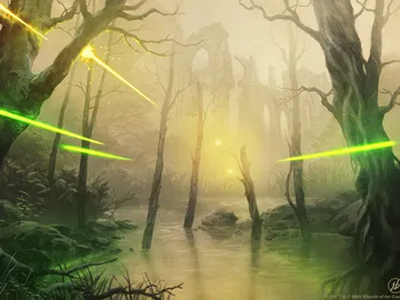 Swamp 1