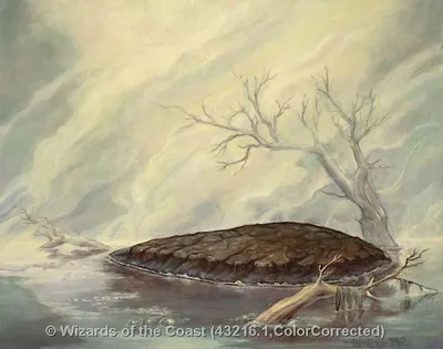 Barren Moor