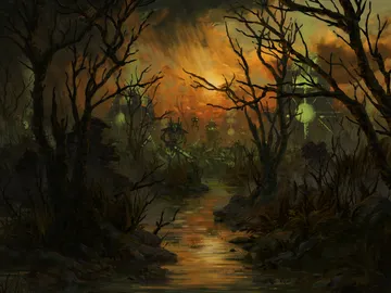 Swamp 3