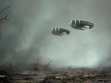 Swamp 4