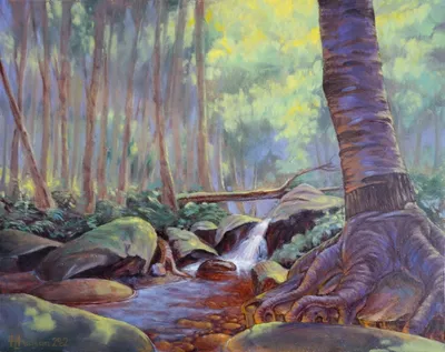Tranquil Thicket