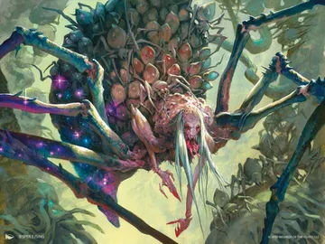 Arasta of the Endless Web