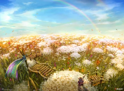 Plains 6