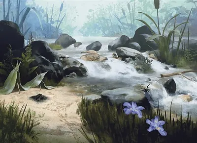 Island 5
