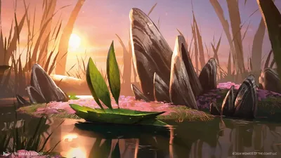 Swamp 6