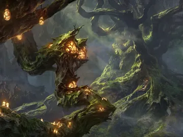 Forest