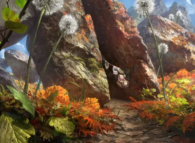 Mountain 6