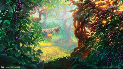 Forest 5