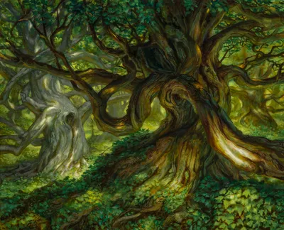Forest 6