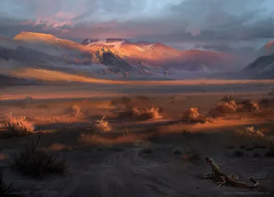 Desolate Mire