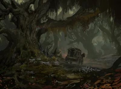 Forest 3