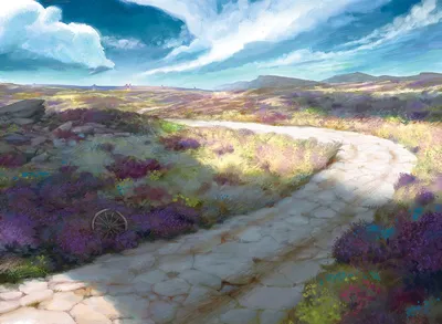 Plains 1