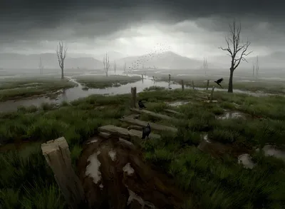 Swamp 1